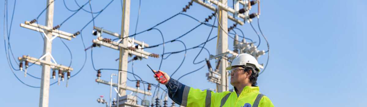 Governo de Goiás lança edital para abastecimento de energia elétrica para órgãos públicos