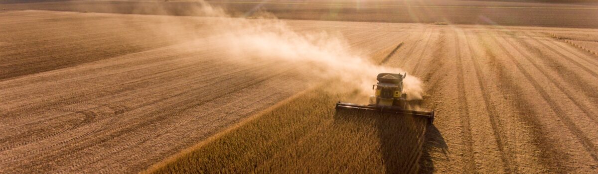 Economia goiana é a quarta que mais cresce no País