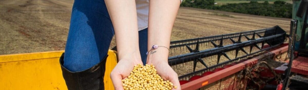 Impulsionado pelo agronegócio e indústria, PIB de Goiás cresce 4,8% em 2023 e supera média nacional