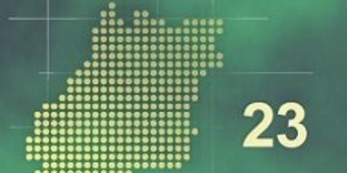 Conjuntura Econômica Goiana – Nº 23 – Dezembro/2012