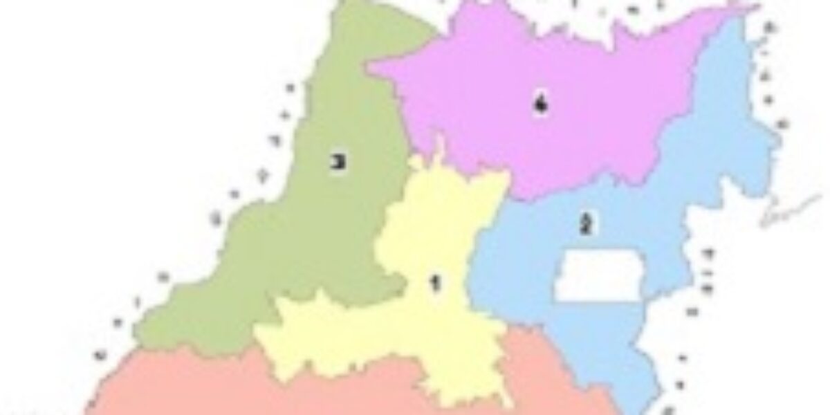 Mapas das Mesorregiões do Estado de Goiás – IBGE