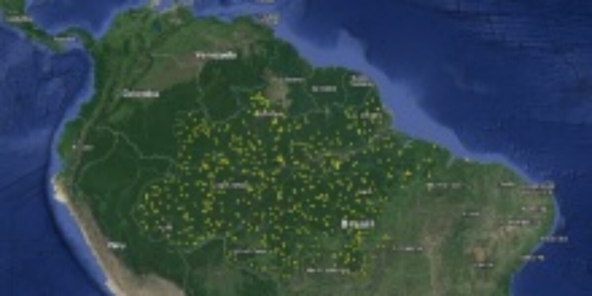 Pesquisadores usam tecnologia laser para mapear clareiras na Amazônia