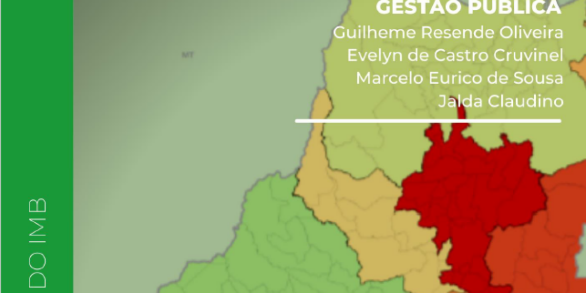 Regiões de Planejamento do Estado de Goiás: Uma revisão para a gestão pública