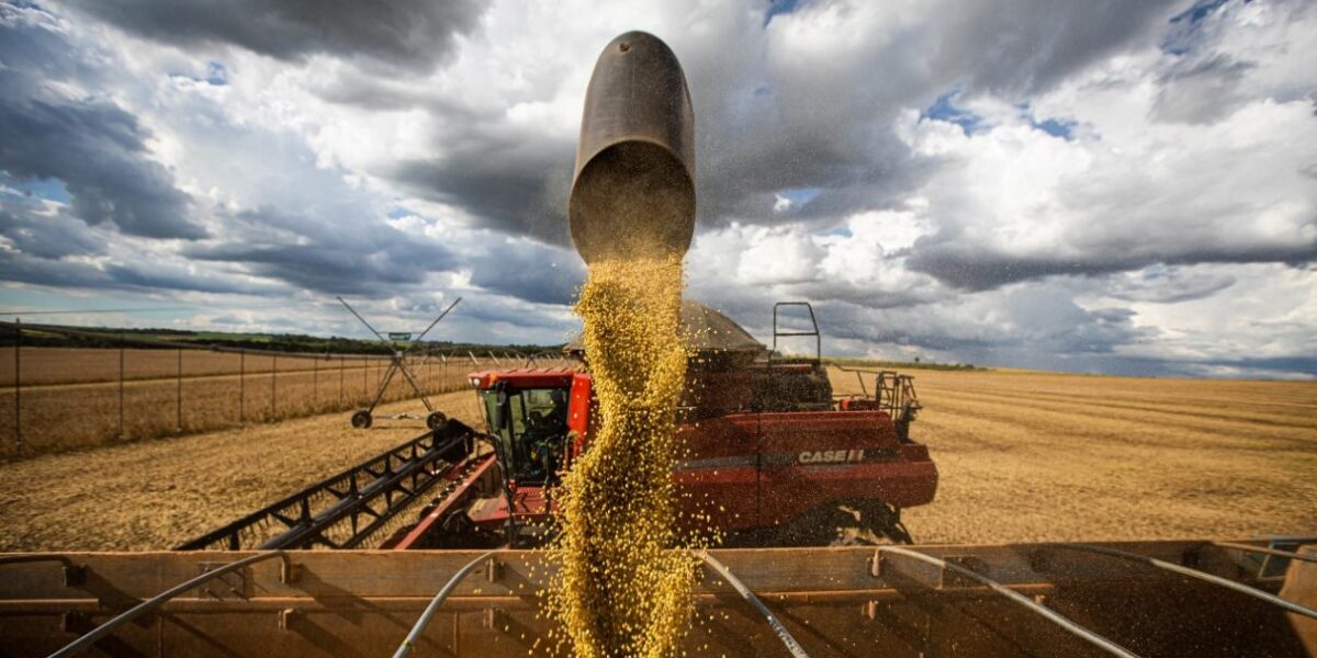 Conflito entre Rússia e Ucrânia não influenciou negativamente o Agro em Goiás, aponta boletim do IMB