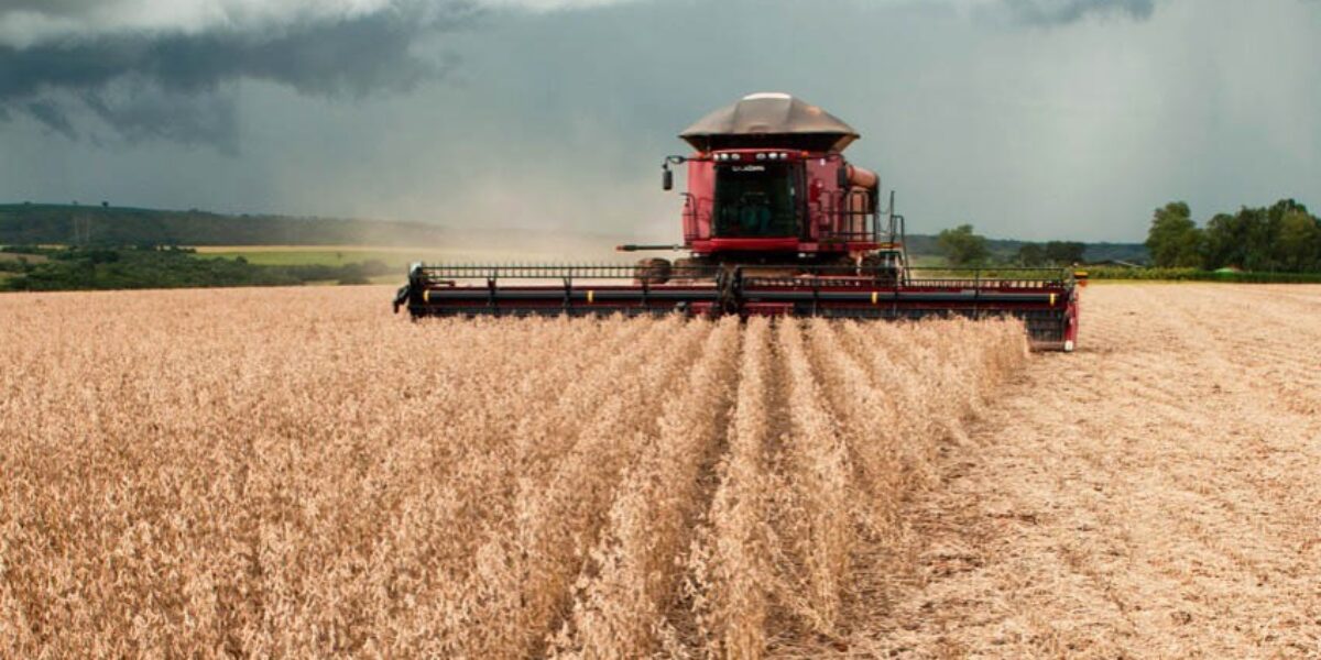 Produção agrícola em Goiás deve superar 114 milhões de toneladas em 2023