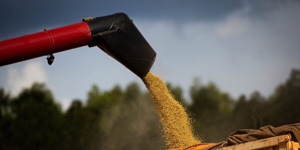 Economia goiana é a que mais cresce no país em julho