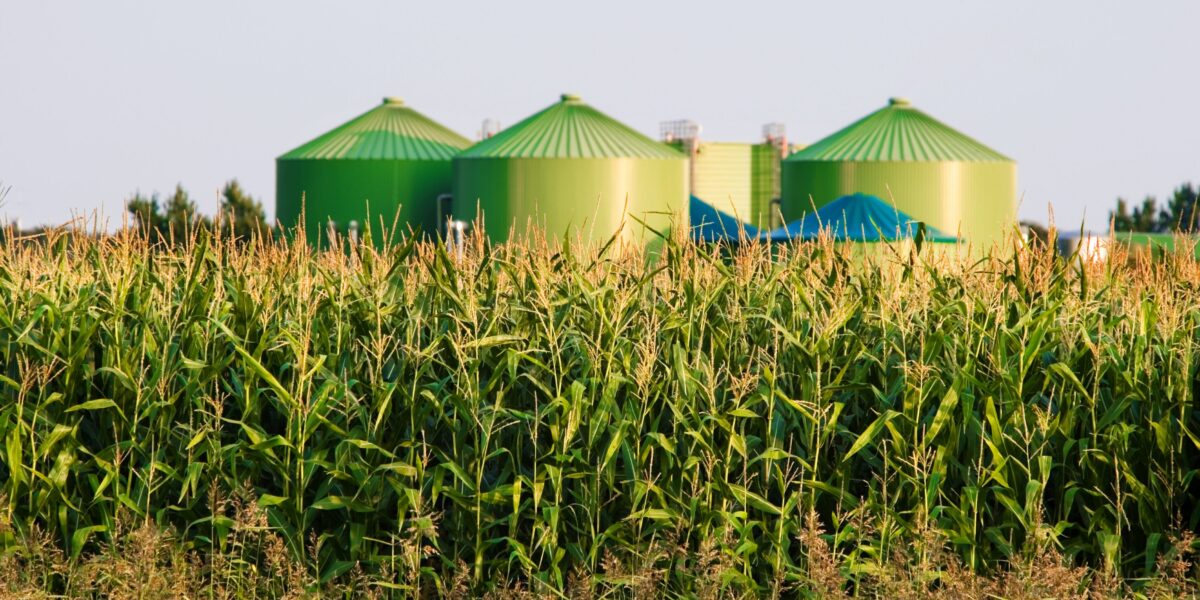 IMB publica Panorama do Biogás do Estado de Goiás