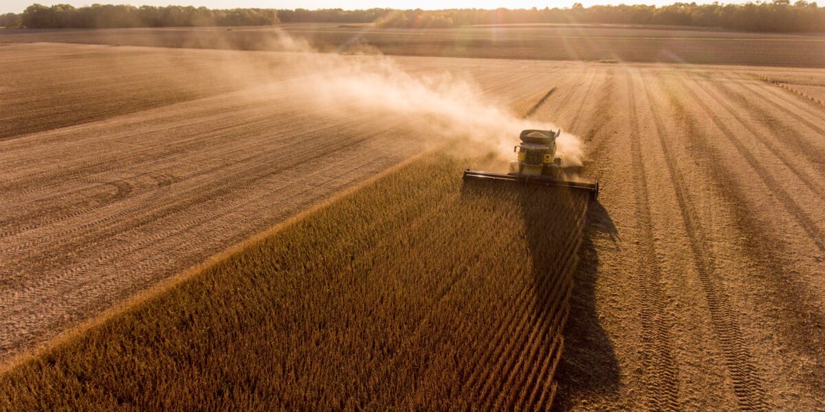 Economia goiana é a quarta que mais cresce no País