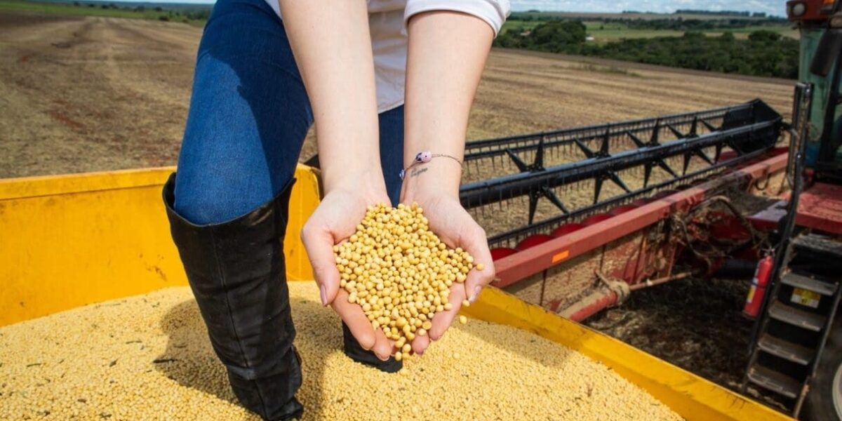 Impulsionado pelo agronegócio e indústria, PIB de Goiás cresce 4,8% em 2023 e supera média nacional