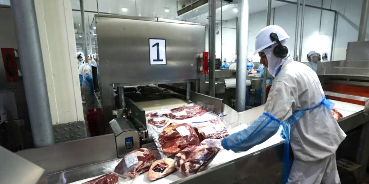 Goiás registra superávit de US$ 554,7 milhões e amplia presença no comércio internacional em outubro