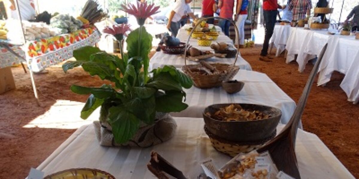 Festa resgata tradição de sementes crioulas