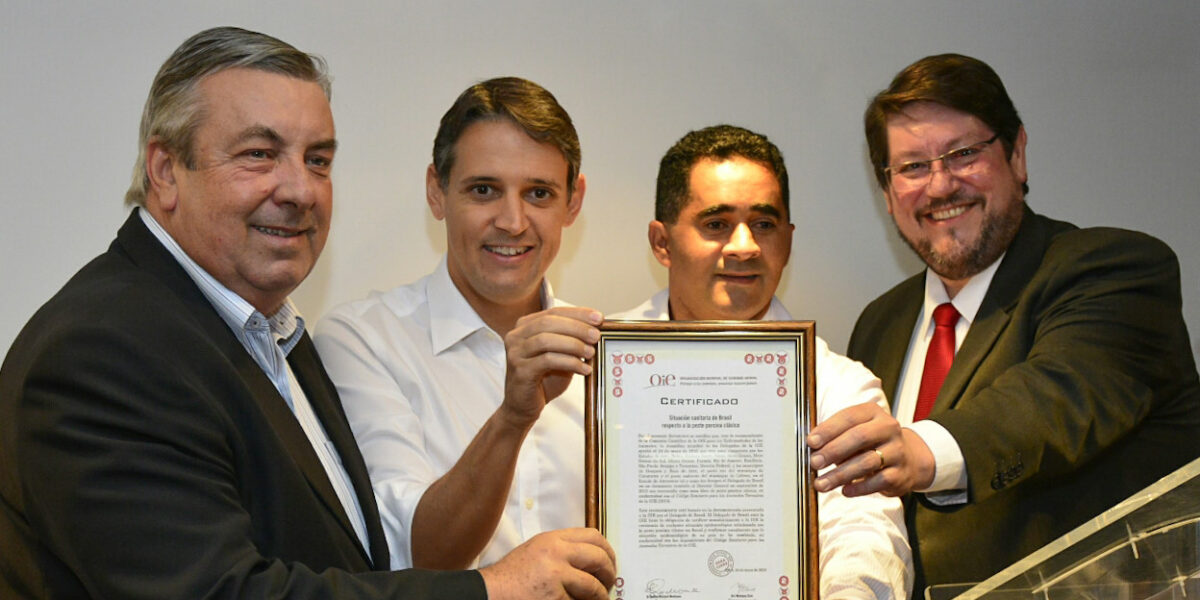 Goiás comemora certificação internacional de zona livre de Peste Suína Clássica