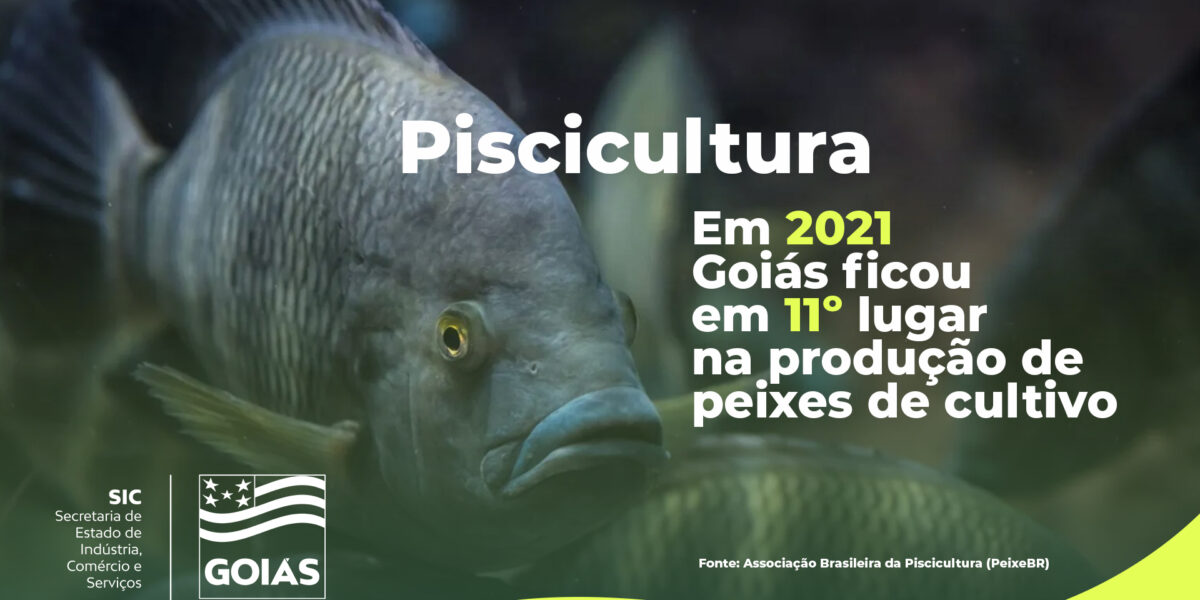 Piscicultura goiana atinge marca de quase 30 mil toneladas em 2021