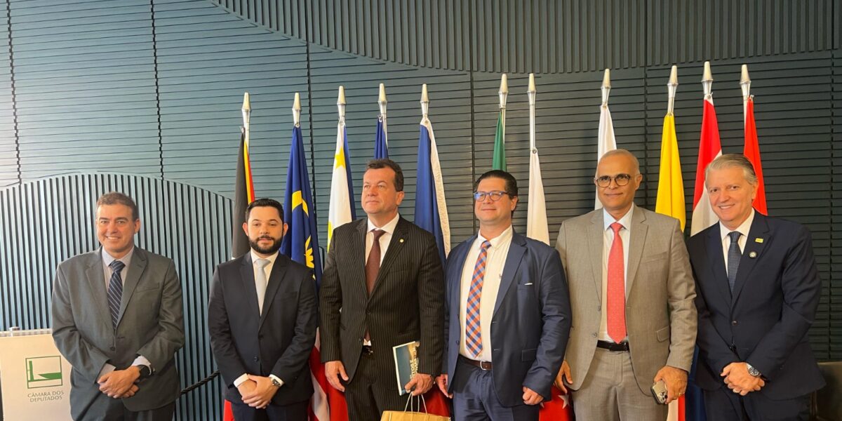 SIC participa do lançamento da Frente Parlamentar Brasil-ASEAN