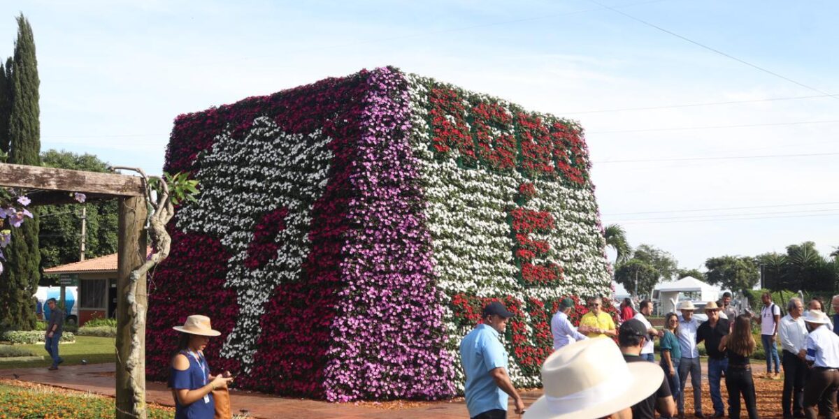 Governo de Goiás leva serviços e inovação para a Tecnoshow Comigo 2025