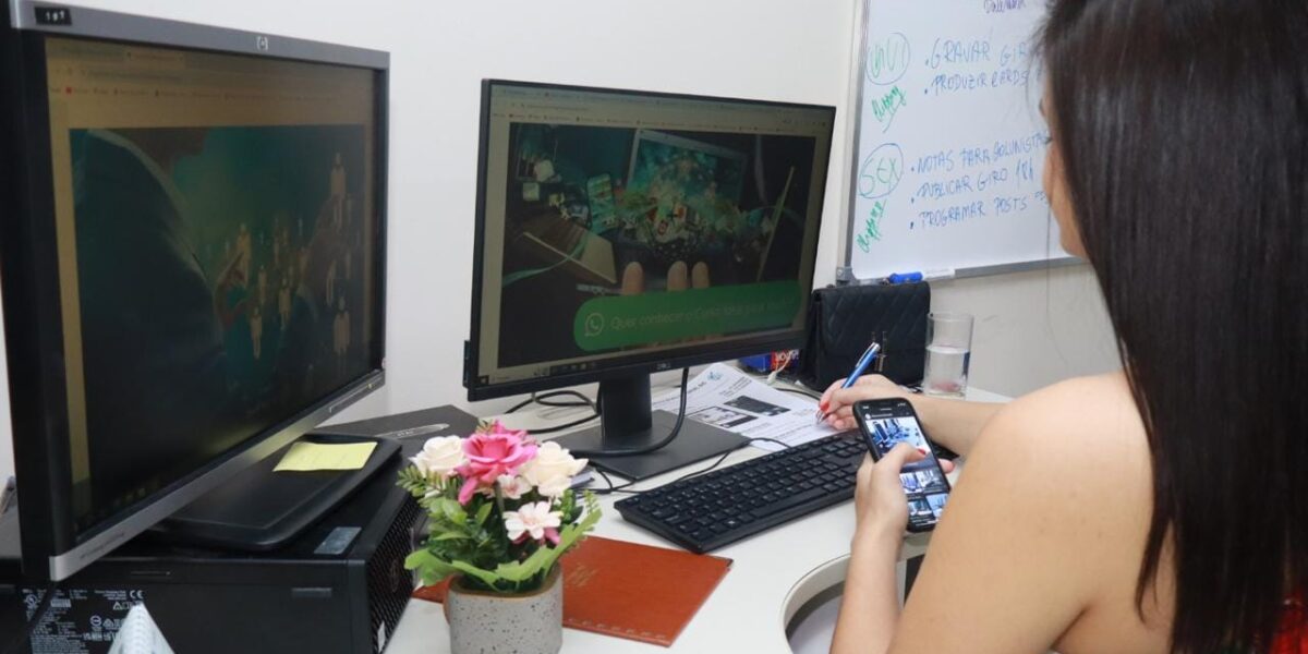 Goiás registra recorde histórico no número de empresas do setor de serviços em 2023