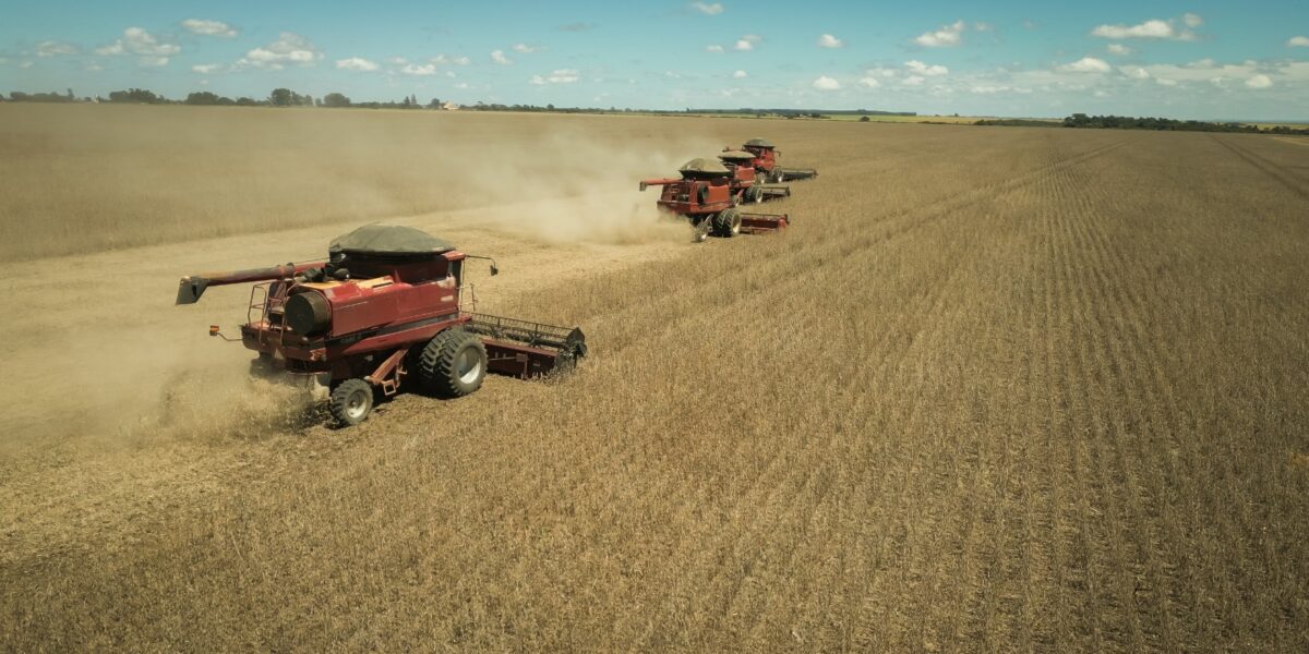 Goiás atinge superávit de R$ 5,5 bilhões na balança comercial