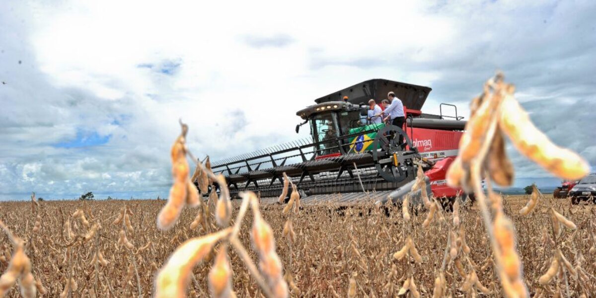 Goiás registra saldo positivo de US$ 6,96 bilhões na balança comercial entre janeiro e outubro de 2025