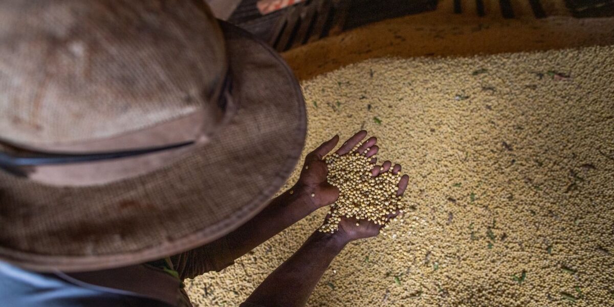 Goiás encerra 2025 com superávit de mais de US$ 8 bilhões na balança comercial