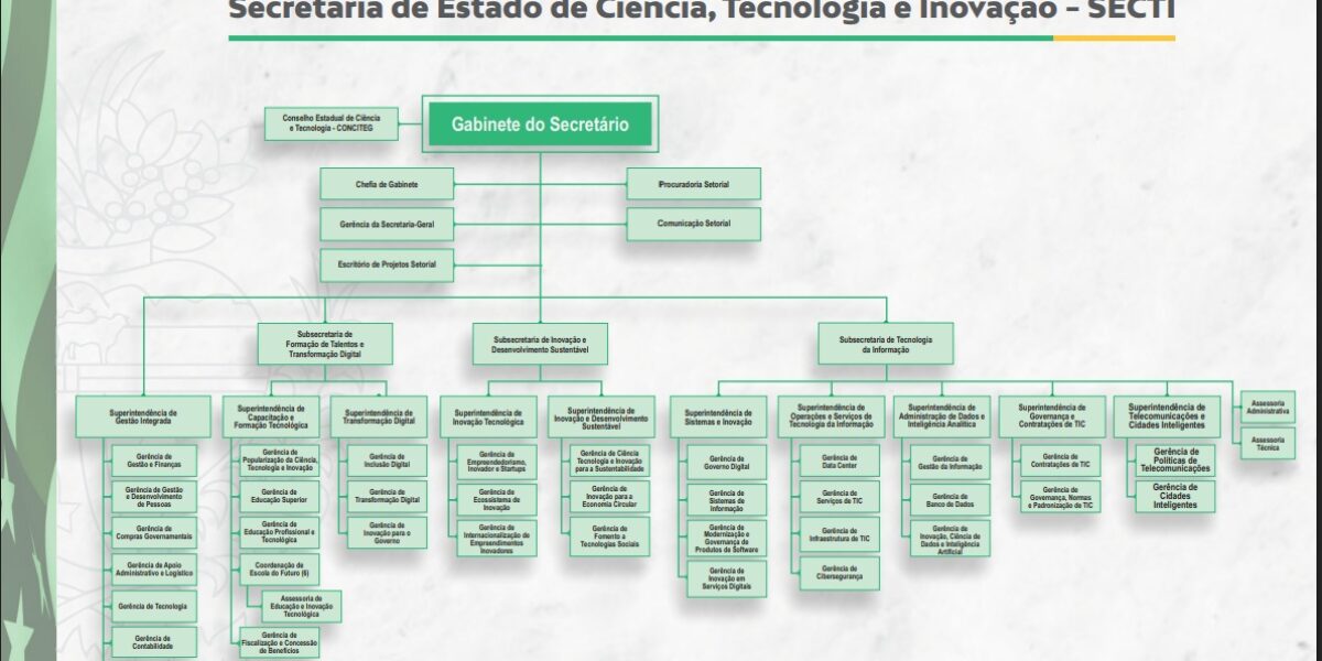 Estrutura Organizacional