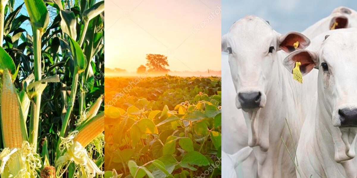 Governo destaca a força do campo em Goiás no Dia da Agricultura