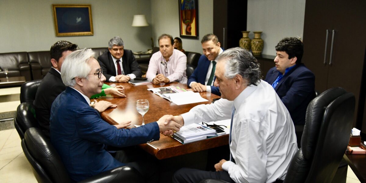 Governo de Goiás dá início aos procedimentos para instalação de usina fotovoltaica no Nordeste do Estado