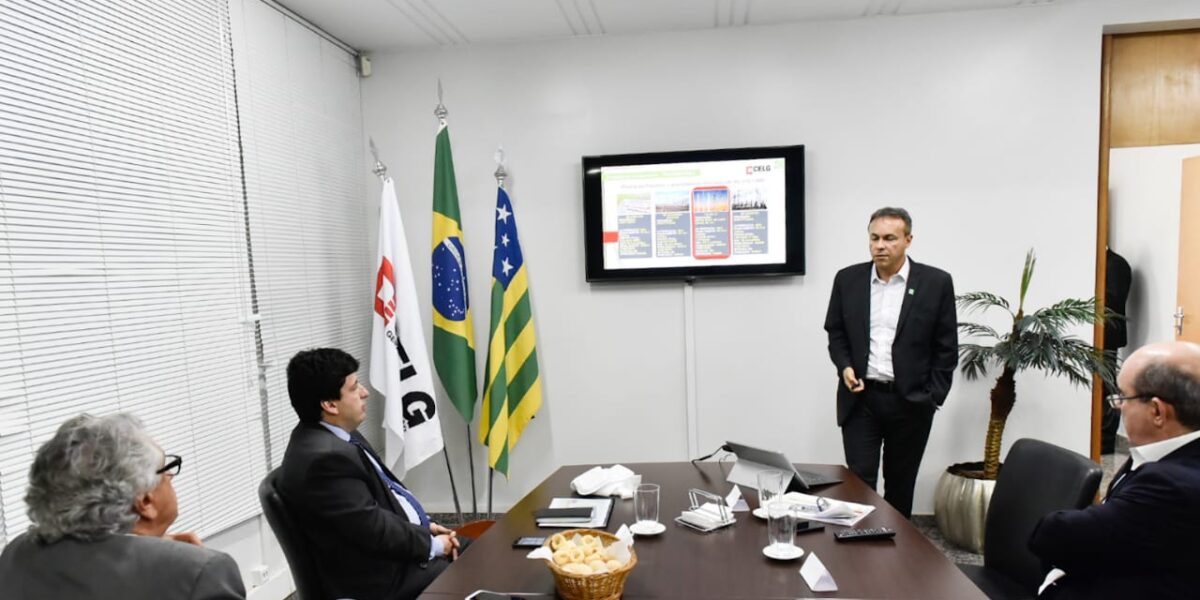 Secretário de Desenvolvimento participa de reunião de apresentação de resultados da Celg GT