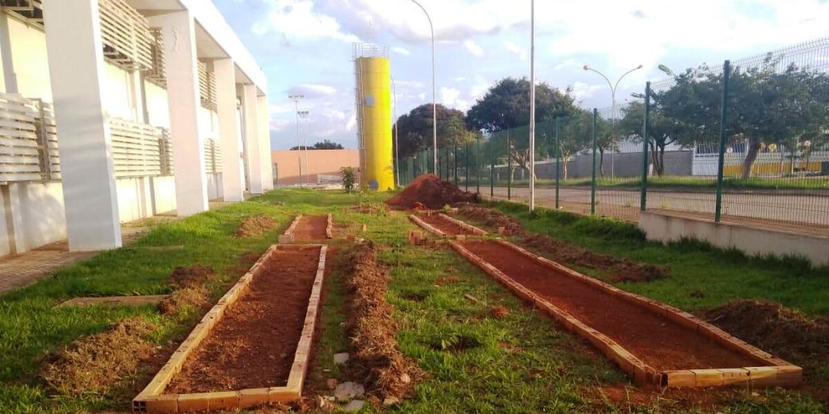 Itego em Santo Antônio do Descoberto planta hortaliças para doar à comunidade em tempos de quarentena