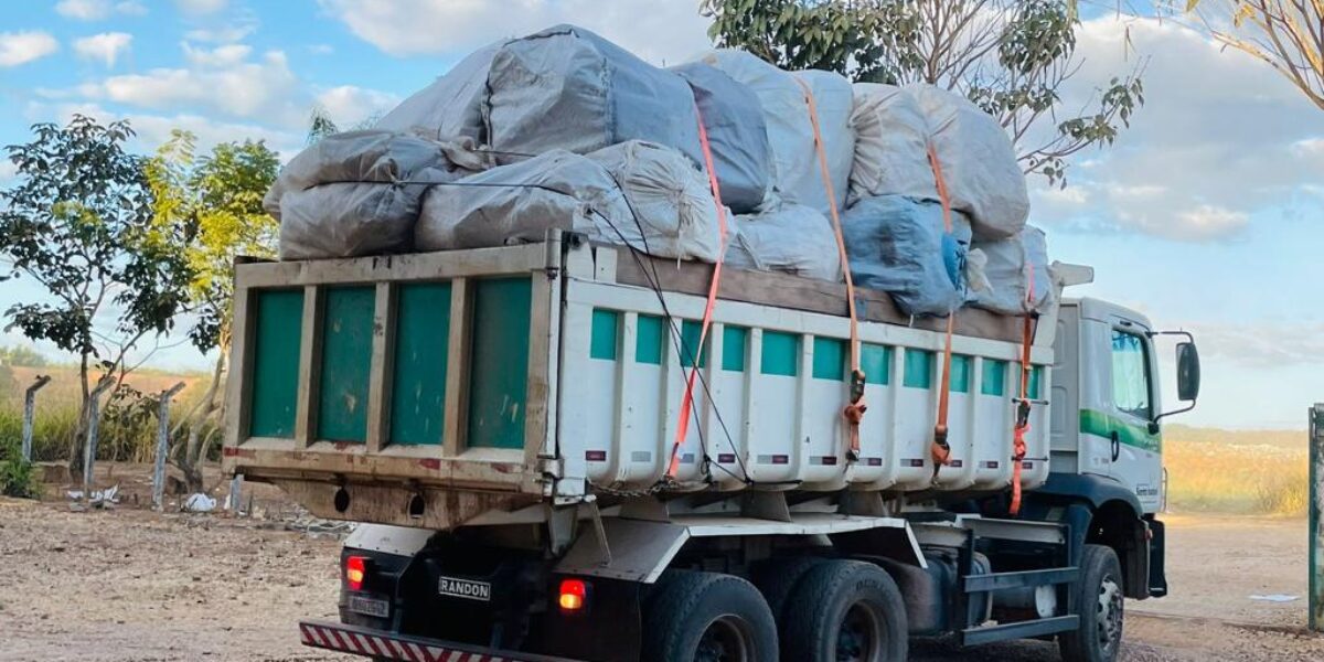 Ação do Governo de Goiás recolhe mais de 5,5 mil embalagens vazias de agrotóxicos