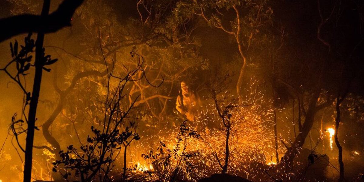 Governo de Goiás investe R$ 1 milhão na prevenção de incêndios no Cerrado
