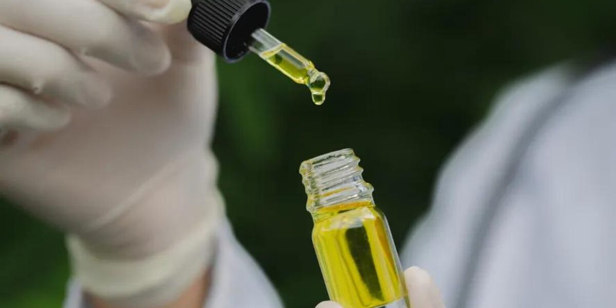 A importância do uso da Cannabis Medicinal no tratamento de patologias, os desafios e os avanços do produto no Brasil.