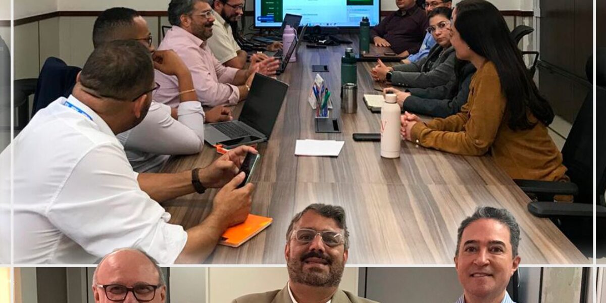 Equipe da RedeSim realiza agenda técnica em Goiás