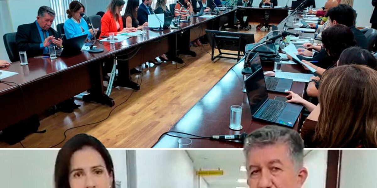 Juceg participa de reunião sobre unificação de procedimentos proposta pelo DREI