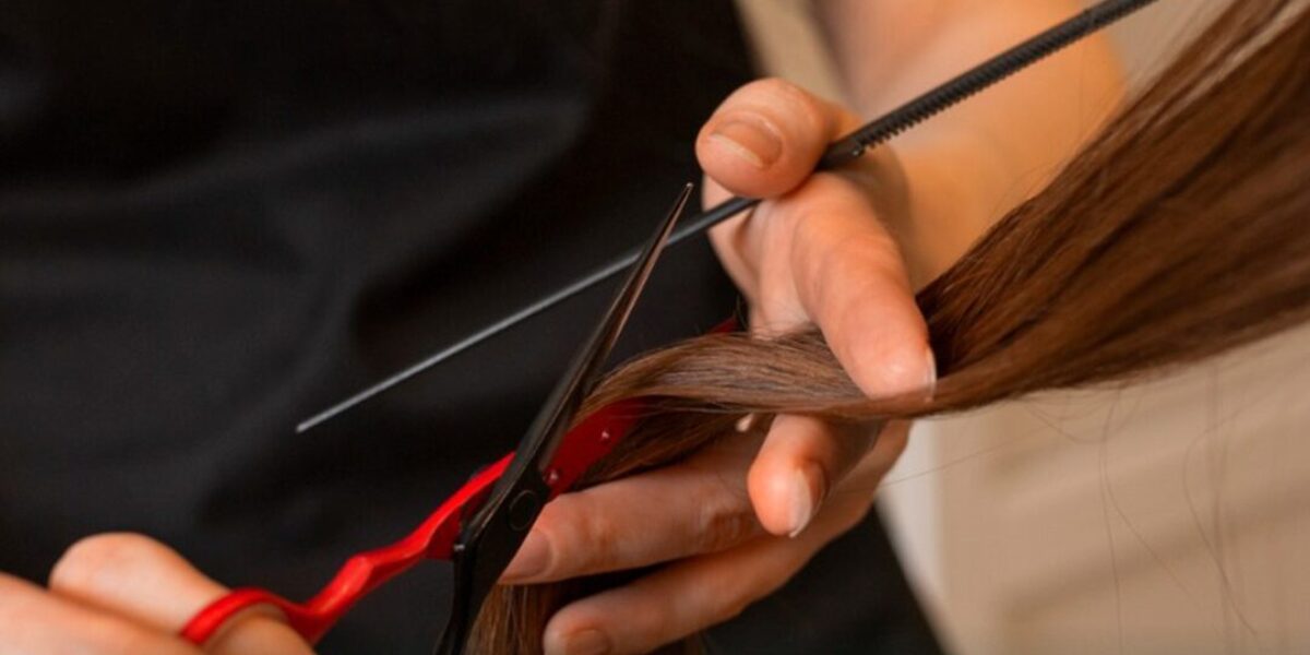 Goiás fecha 2025 com a abertura de mais de 178 mil novas empresas