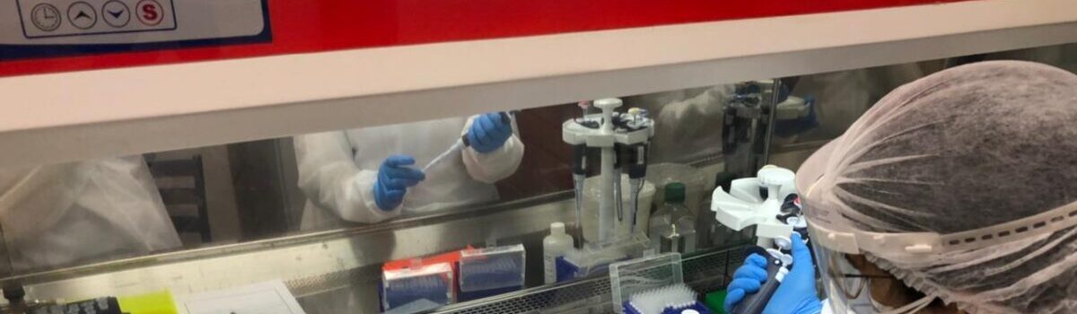 Com investimento recorde, Governo de Goiás destina R$ 125,7 milhões para ciência e inovação em 2025