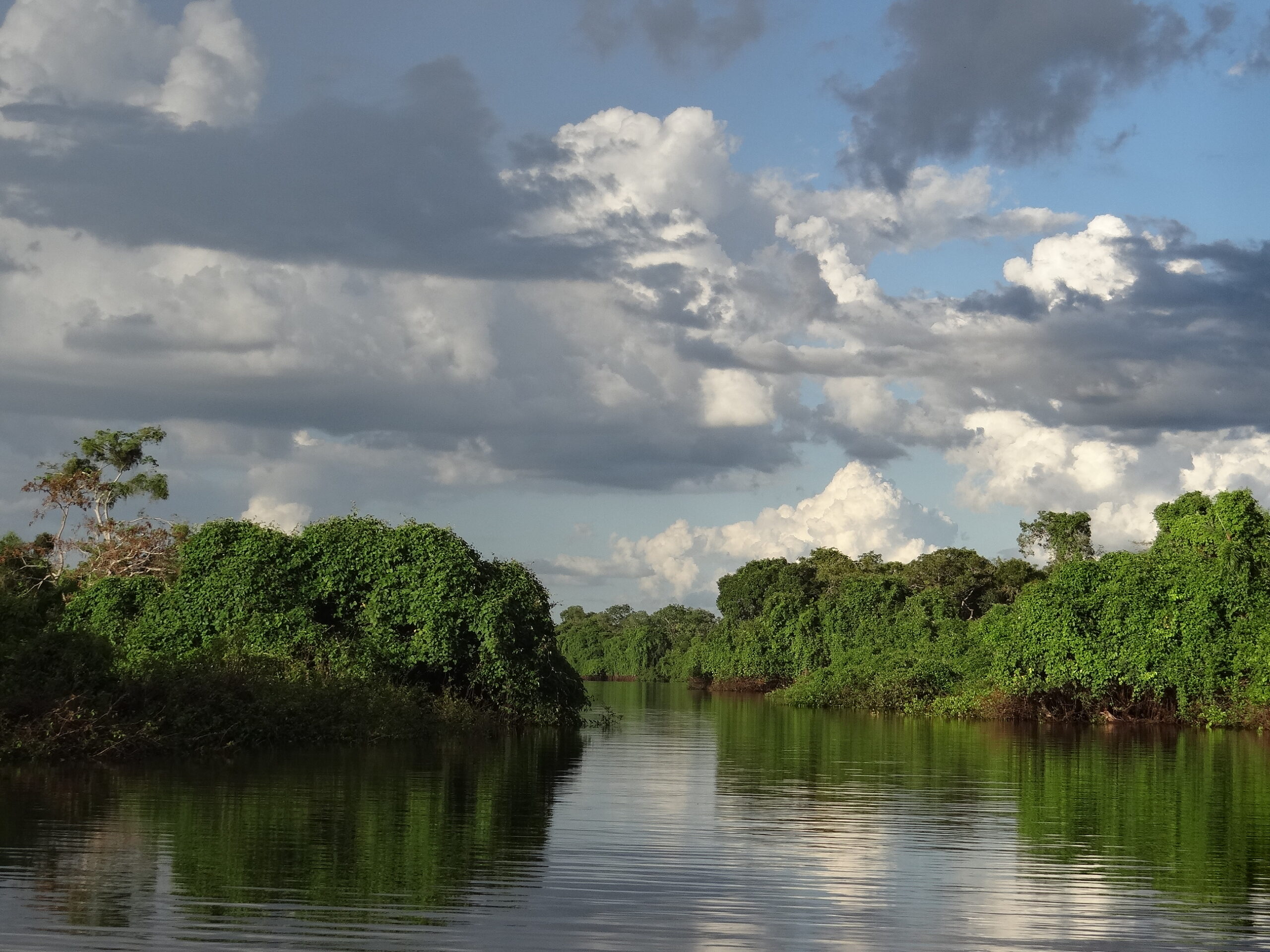 Lago Piratinga PEA