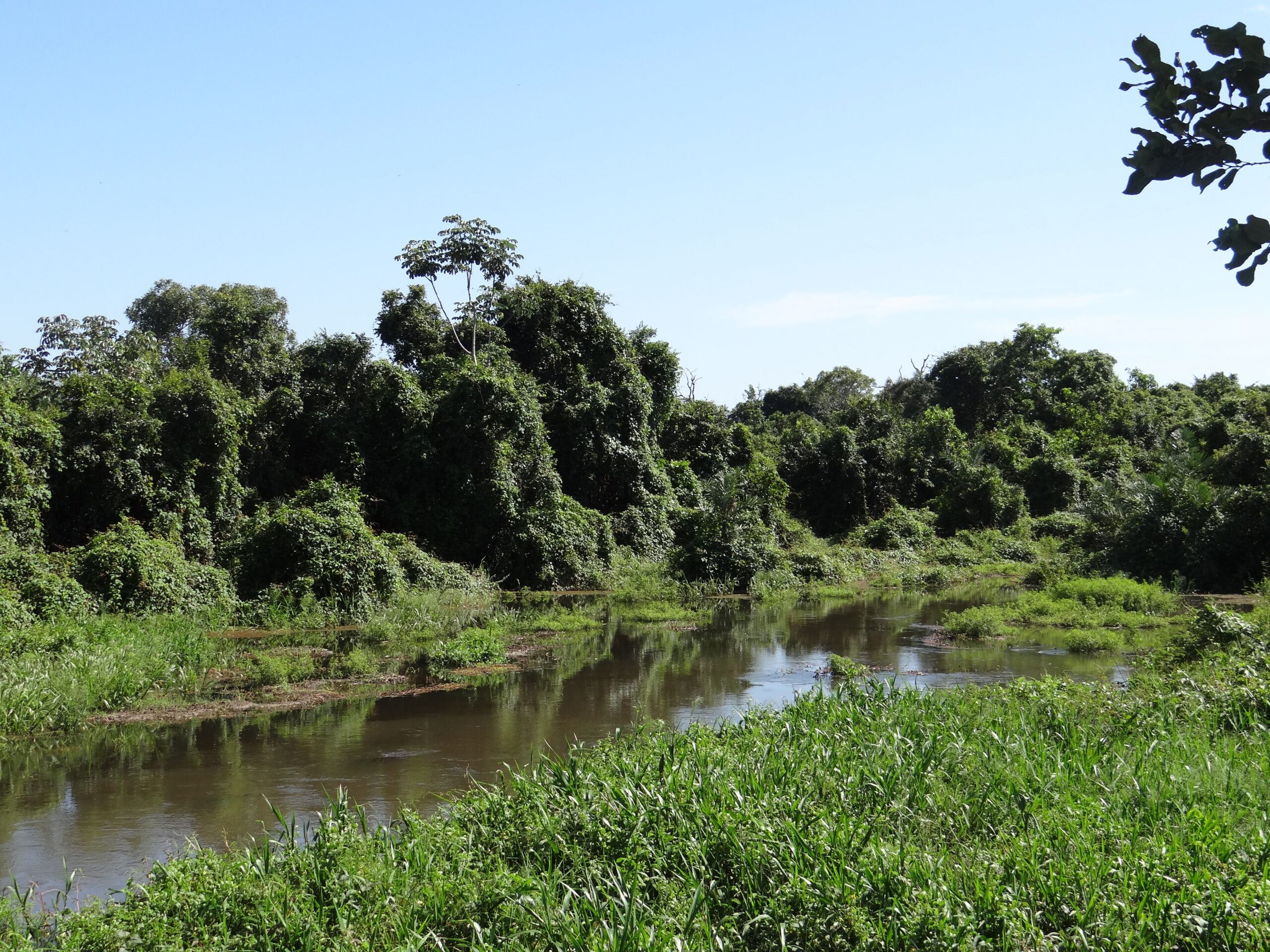 Rio Verdinho