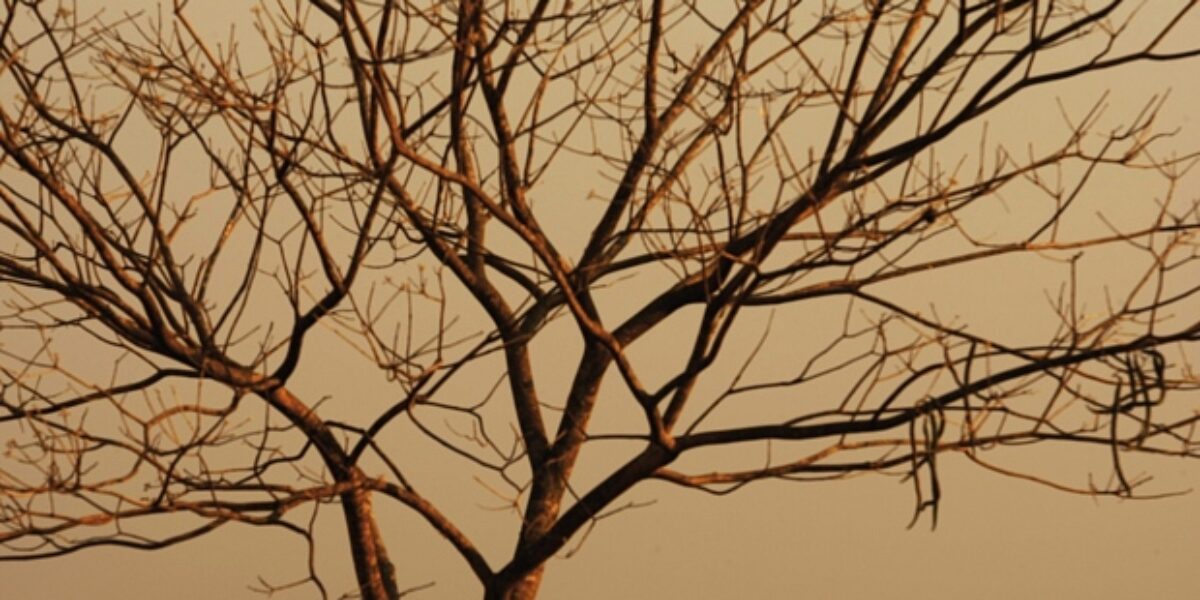 Estiagem: Cimehgo passa a contar oficialmente os dias sem chuva em Goiás