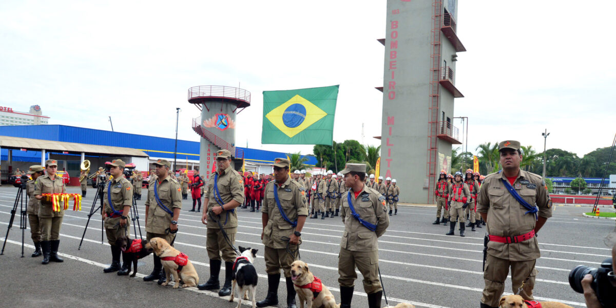 Bombeiros de Goiás que ajudaram nas buscas em Brumadinho recebem homenagem