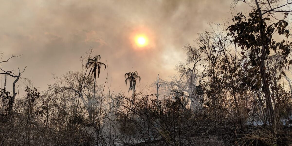 Incêndio atinge área do Parque Estadual do João Leite e combatentes atuam para debelar chamas