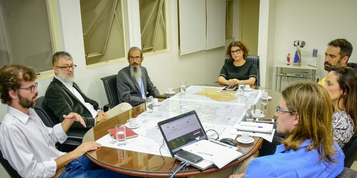 Secretária Andréa Vulcanis recebe representantes de ONGs para debater mudanças na gestão ambiental do Estado