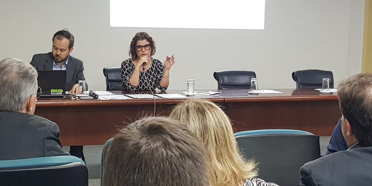 Secretária Andréa Vulcanis faz balanço do ano em reunião do Conselho Estadual do Meio Ambiente