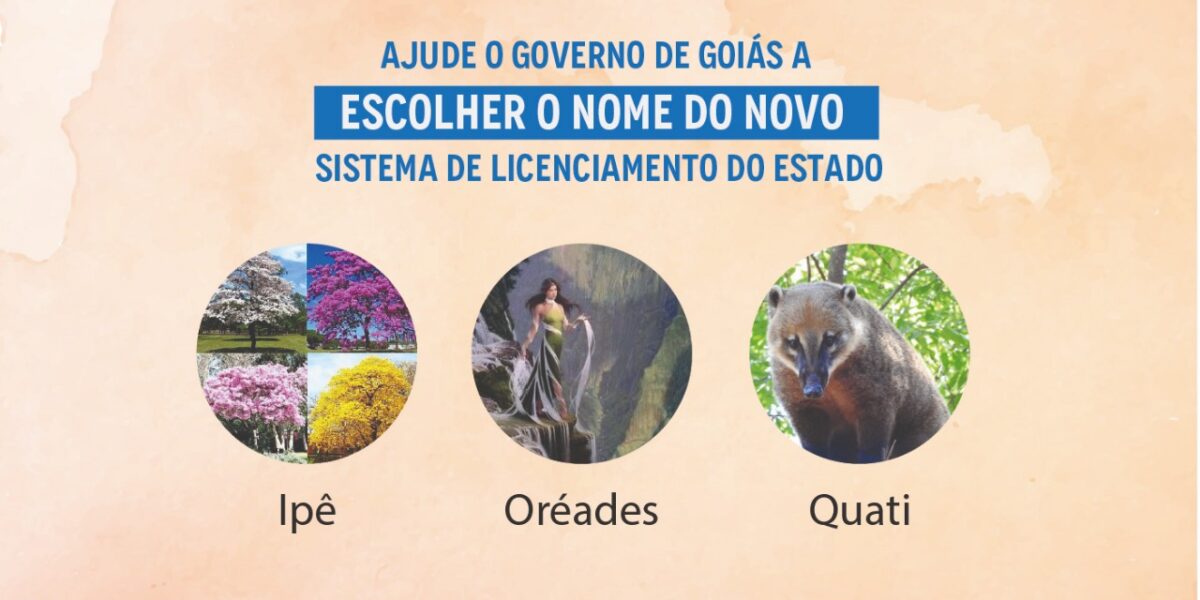 Ajude o Governo de Goiás a escolher o nome do novo Sistema de Licenciamento do Estado