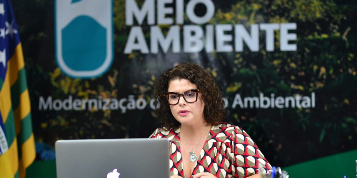 Secretária Andréa Vulcanis alerta para “impactos devastadores no agronegócio” em face de crescente degradação do meio ambiente no Brasil