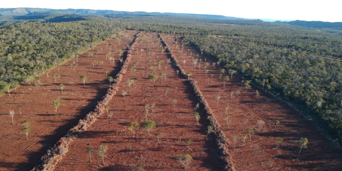 Governo de Goiás divulga balanço da Operação Presença, que combate crimes ambientais em Cavalcante, no Nordeste goiano