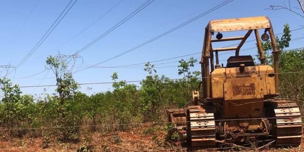 Fiscais da Semad multam e interditam área de desmatamento ilegal na zona rural de Morrinhos