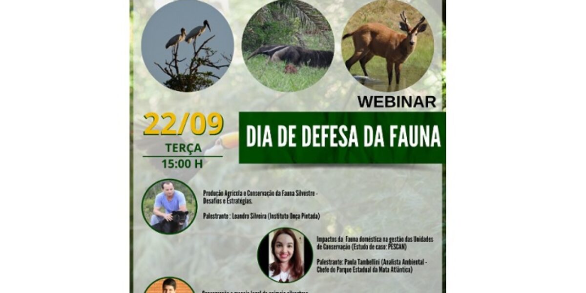 No Dia de Defesa da Fauna, webinar da Semad debate desafios e estratégias na preservação da vida silvestre