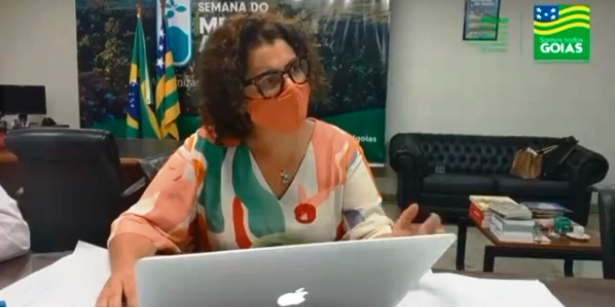 Ao emitir a primeira licença ambiental por meio do Sistema Ipê, Andréa Vulcanis ressalta que em Goiás, “prazos para concessão caíram de até oito anos para menos de um mês”