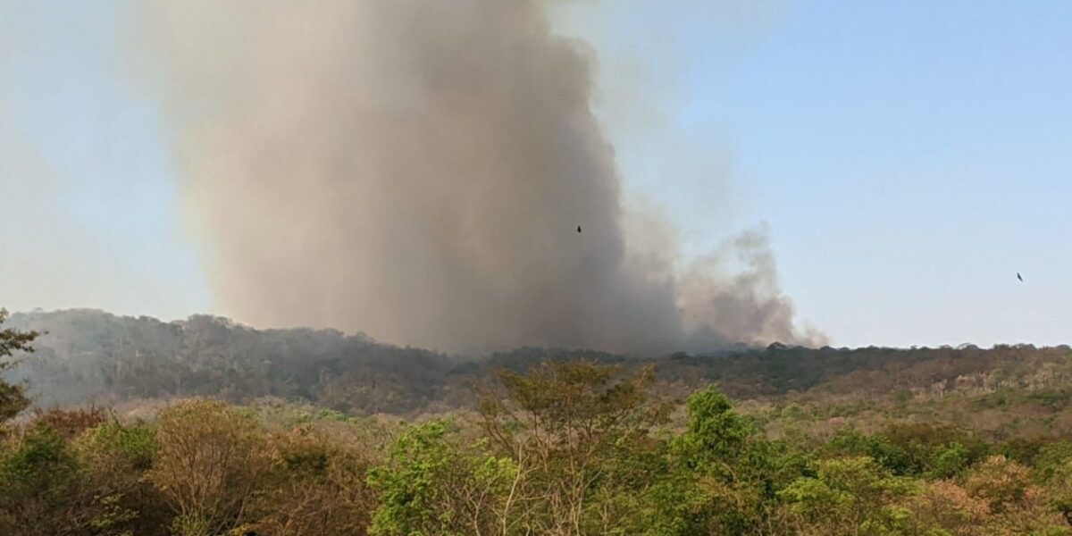 Semad, bombeiros e voluntários combatem incêndios nos parques Altamiro de Moura Pacheco, Serra Dourada, e na APA Sulivan Silvestre