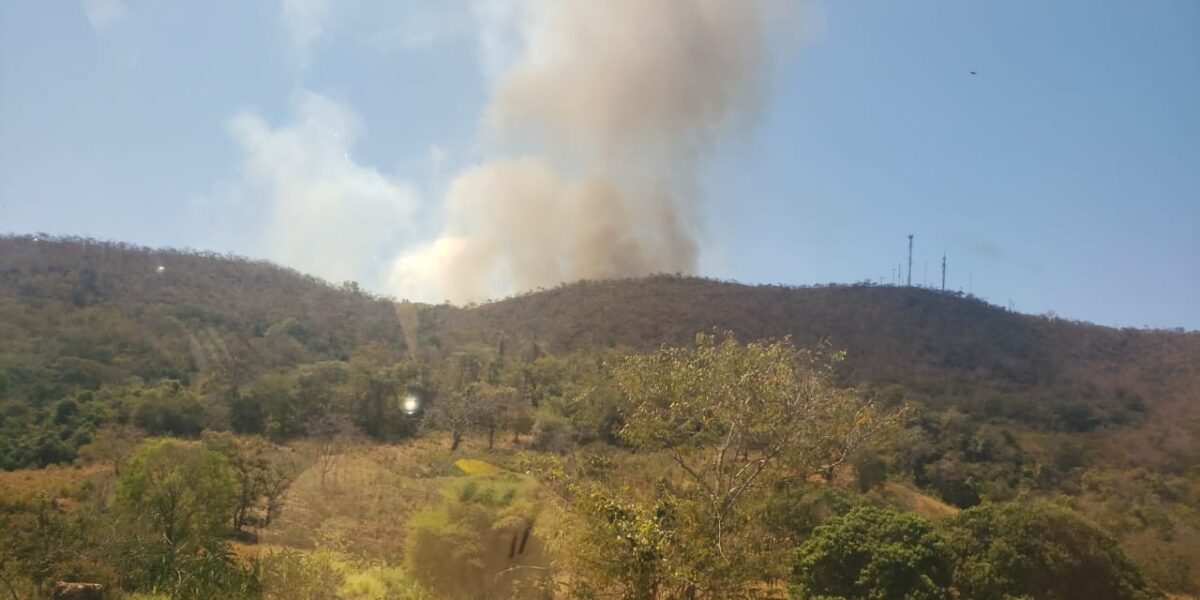 Incêndios na APA João Leite e no Parque Estadual dos Pireneus são extintos